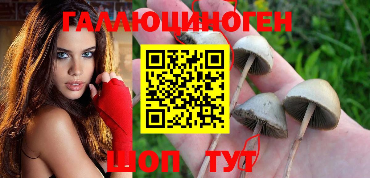 Галлюциногенные грибы GOLDEN TEACHER Воркута